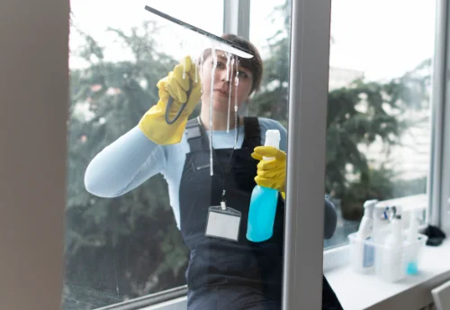 Nettoyage de vitres intérieures et extérieures à Créancey